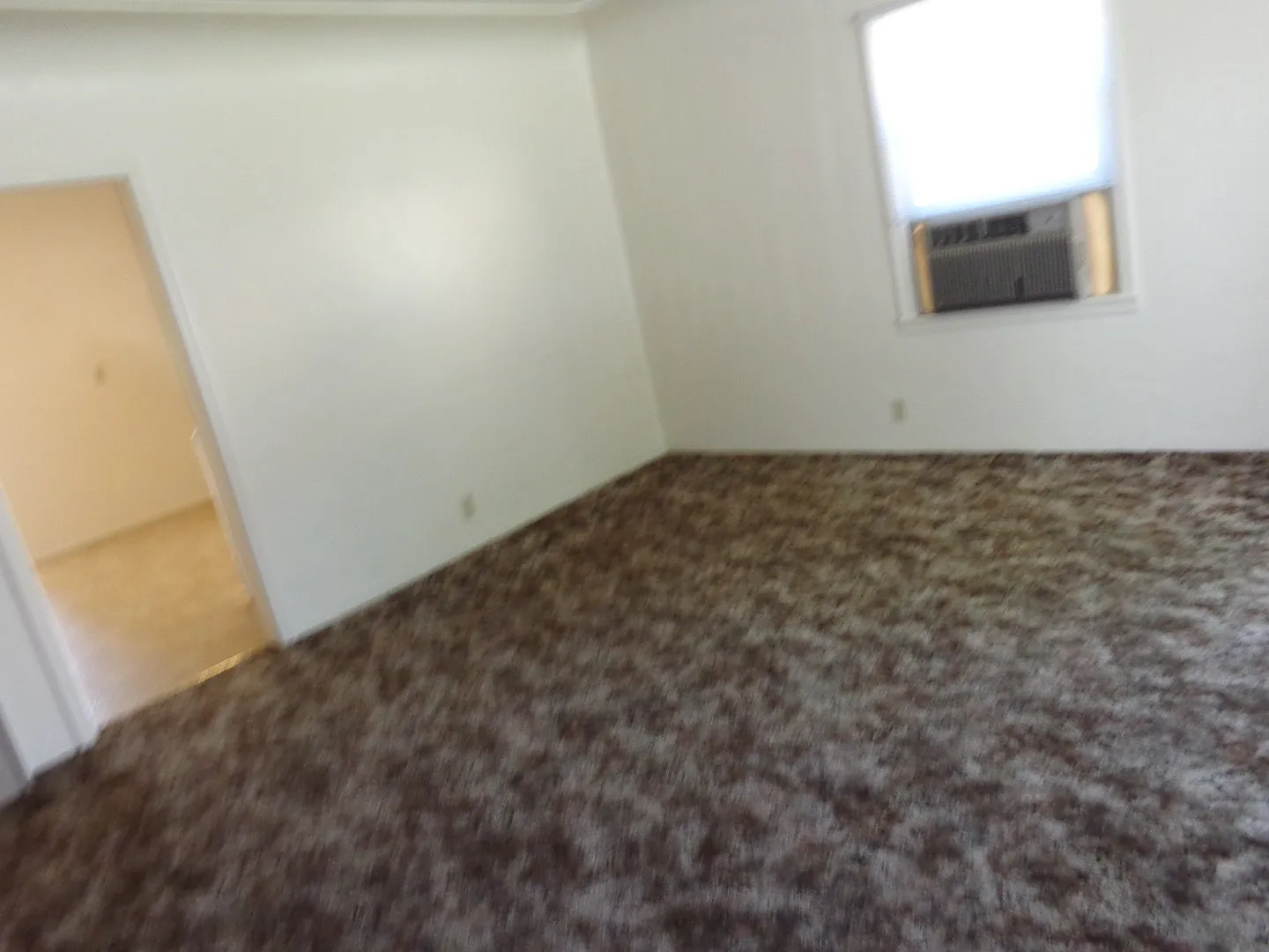 Cozy 2x1 House — Photo 2