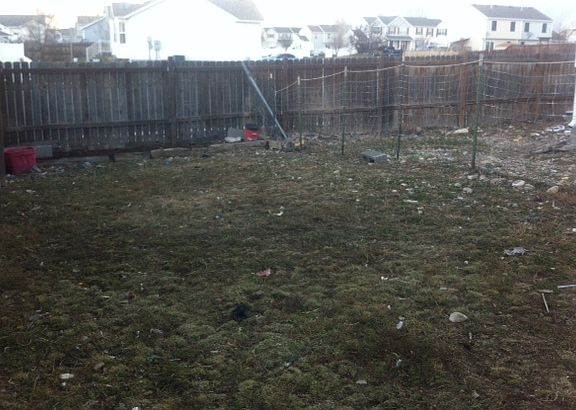 Side Yard 2