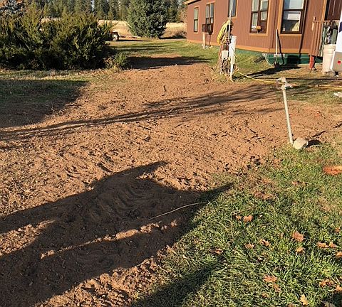 back yard /house