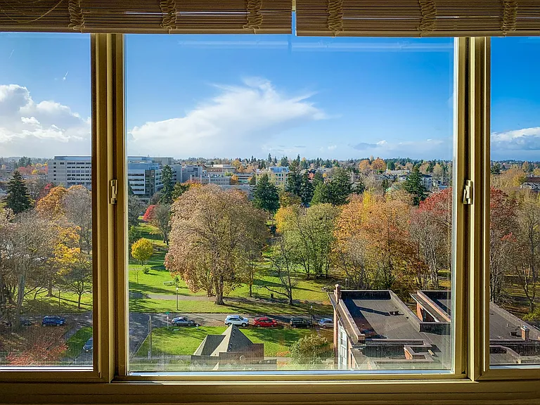 Wright Park as seen from Parkside