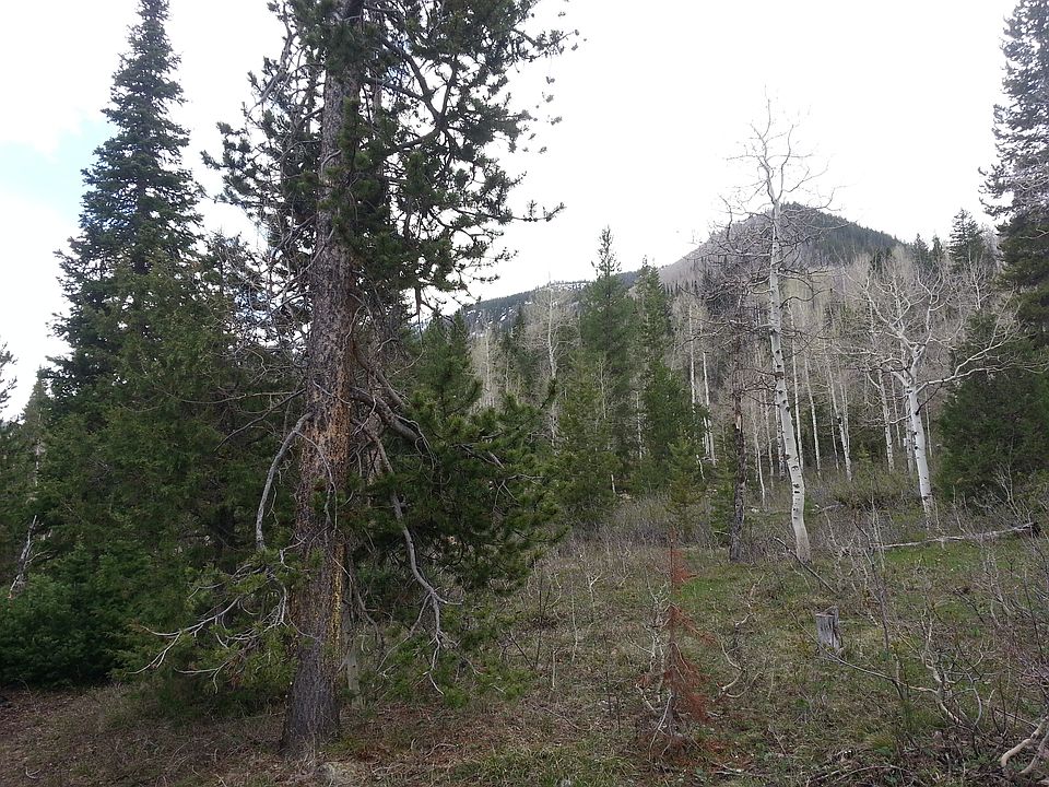 2nd image of 85 E Weber Canyon Rd