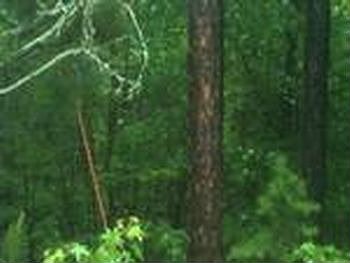 Photo of Mobile Home Lot