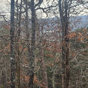 L-8 Kee Trl #B, Cherokee Village, AR, 72529