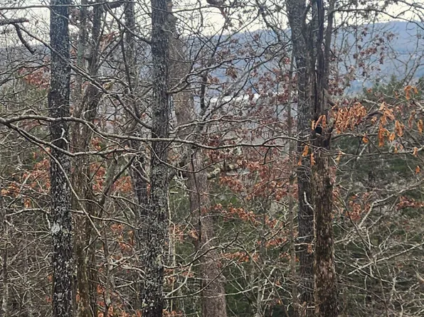 L-8 Kee Trl #B, Cherokee Village, AR 72529