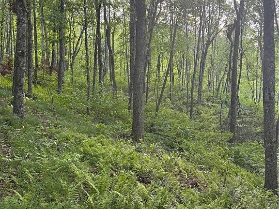 4th image of TBD Hickory Trail