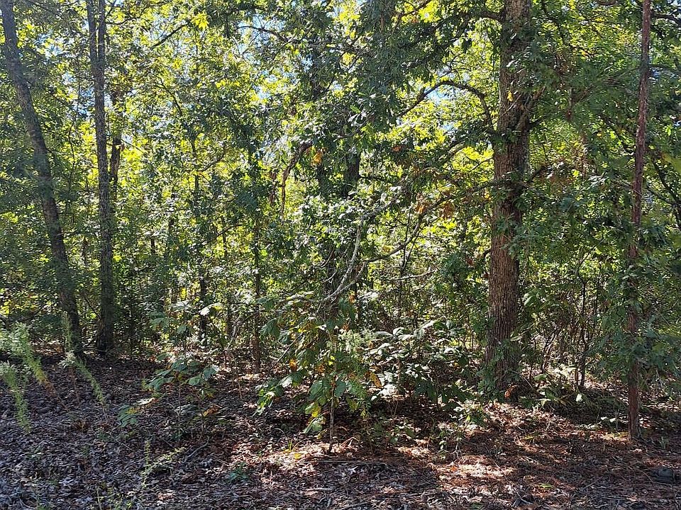 2nd image of 1 Plantation Dr