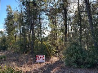 Lakeside Hills 4a Mb4 P156 Lot 1 #Sec, Florahome, FL 32140