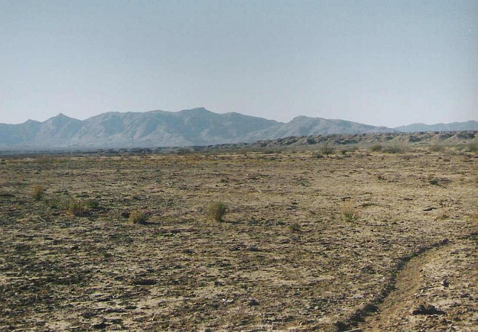 Great land for your next ranch. 