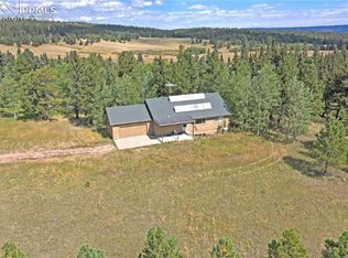 385 Pine Bluff Dr, Divide, CO 80814