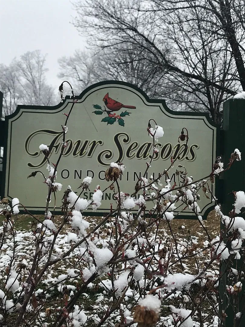Four Seasons — Photo 1