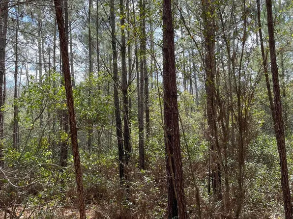 3 Old Oakhill Rd, Jamestown, SC 29453