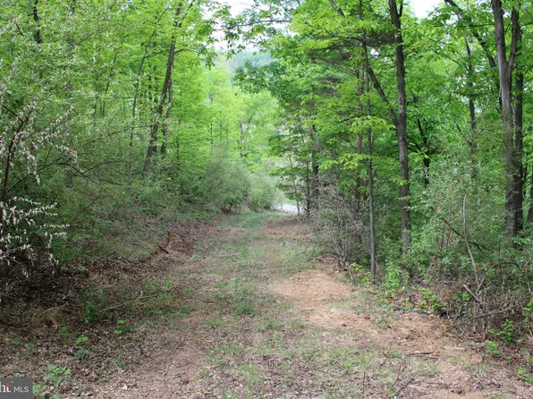 Proctor Rd, Purgitsville, WV 26852