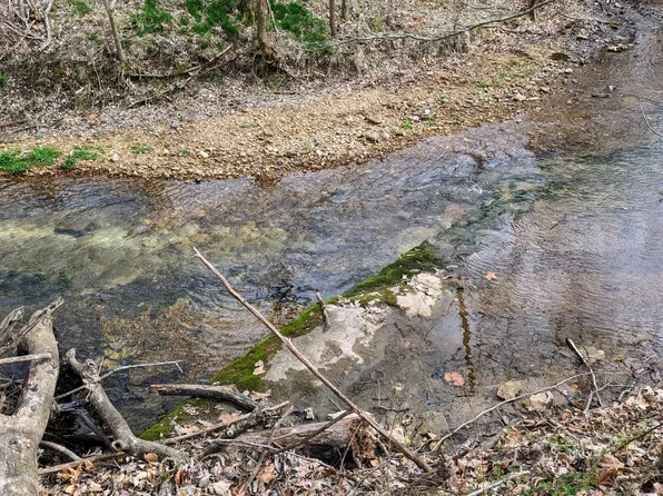 Tract F W Farm Road 61, Willard, MO 65781