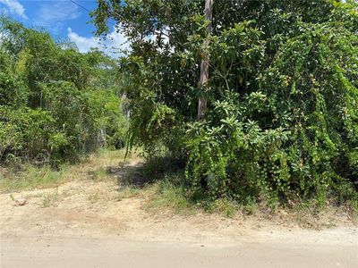 14211 SE 202nd Ter #33, Umatilla, FL, 32784