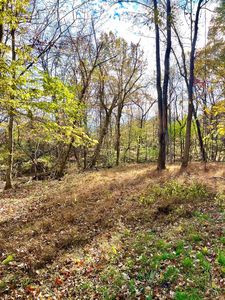 872 Mullen Rd, Moscow, OH, 45153