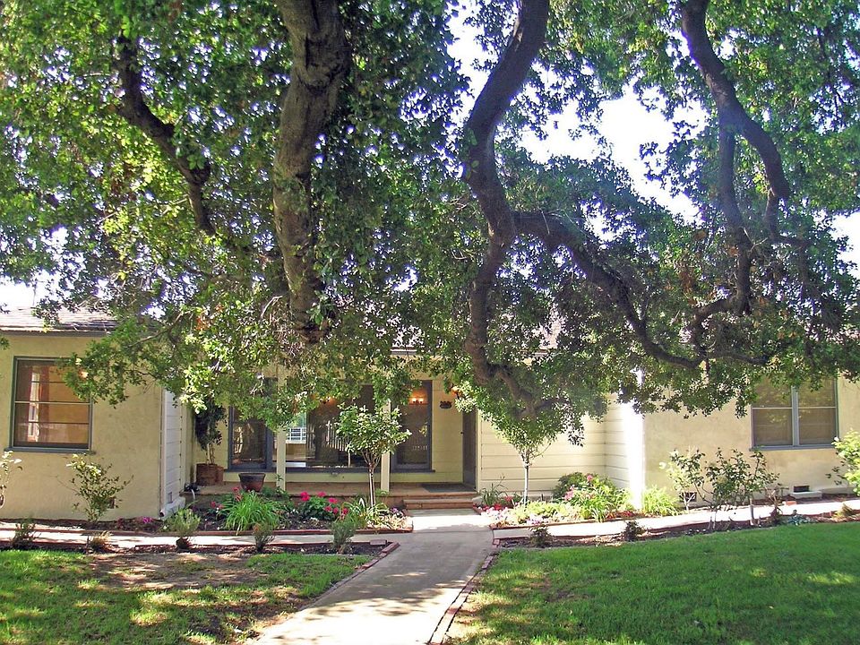 Front View - Under the old oak tree
