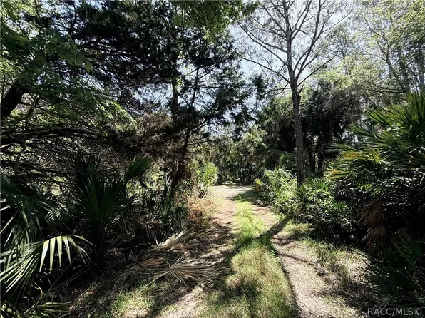 LOT 26 SE 193rd Pl, Yankeetown, FL 34498