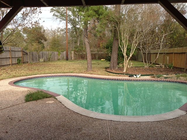 Beautiful in ground pool
