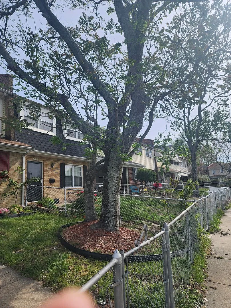 Chesapeake 3 bd, 1.5 bath — Photo 2