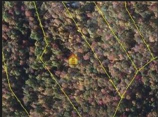 845 Stockton Rd, Flag Pond, TN 37657