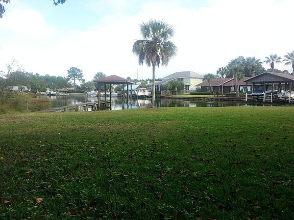 Back Yard 1