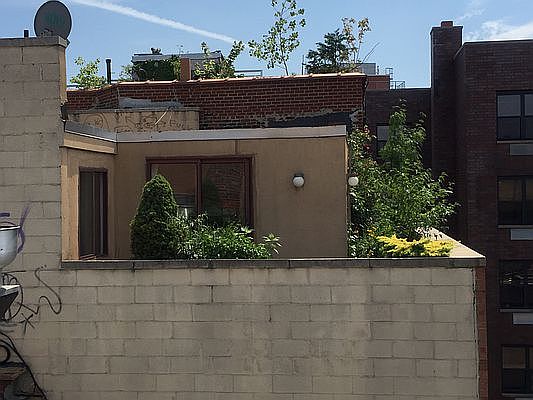 3rd image of 29 Avenue C APT 4C