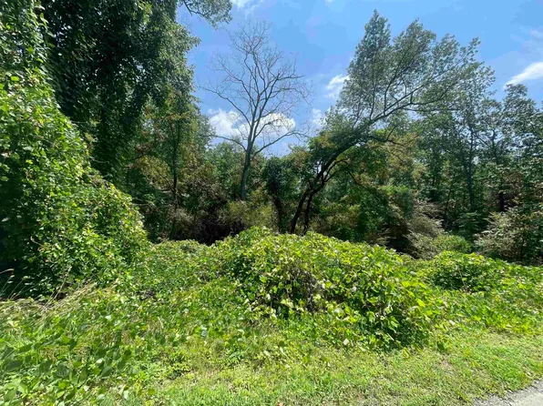 401 County Road 371, Phil Campbell, AL 35581