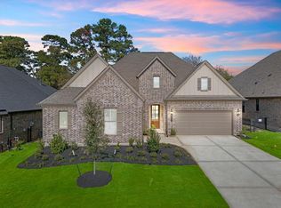 10014 Larkin Cv, Willis, TX 77318