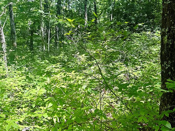 3rd image of TBD Indian Lake Road
