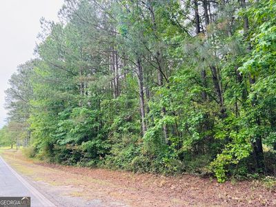 0 Lee Ln Lot 1, Greenville, GA, 30222