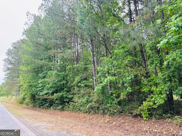 0 Lee Ln Lot 1, Greenville, GA 30222