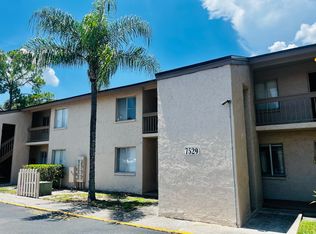 7529 Pitch Pine Cir APT D, Tampa, FL 33617