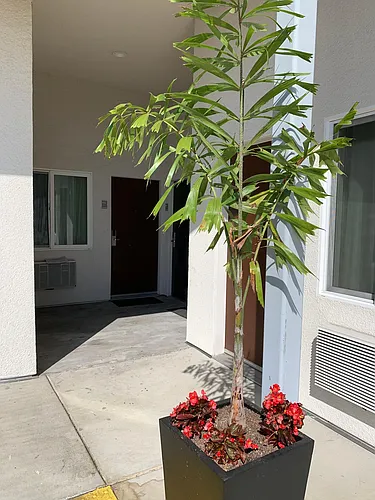 2188 San Diego Ave #203 Photo 1