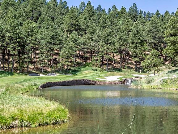 049A8642 Roys Stream