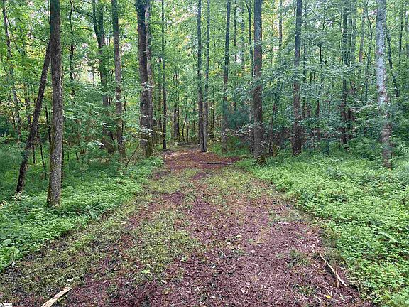 5th image of 0 N Little River Rd Tract 1