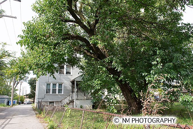 2nd image of 7042 S Laflin St