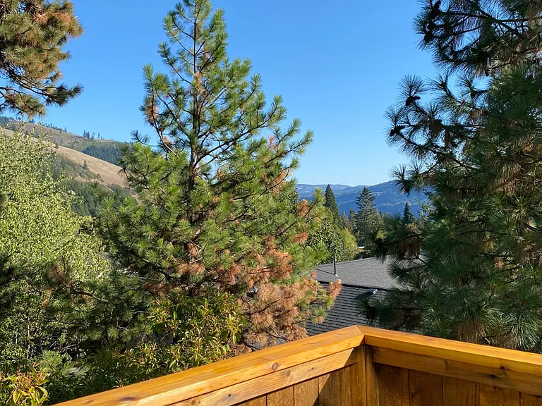 29 Annie Ln — Photo 10