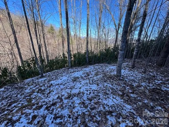 621 Round Top Rd, Almond, NC 28702