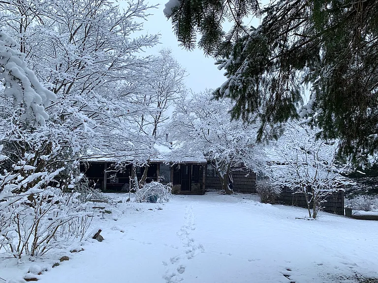 108 Sheldon Rd — Photo 30