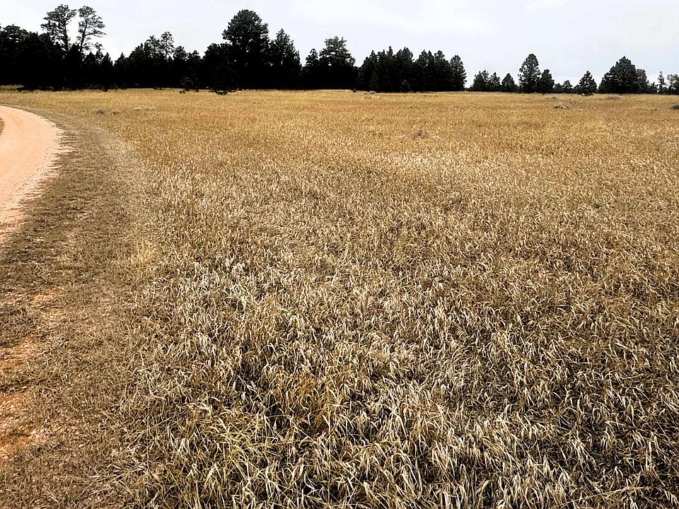 1st image of 9 Colt Trl