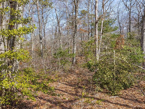 3rd image of 39 John Ewer Road