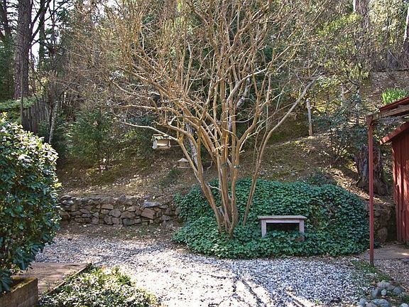 4th image of 3166 Cedar Ravine Rd