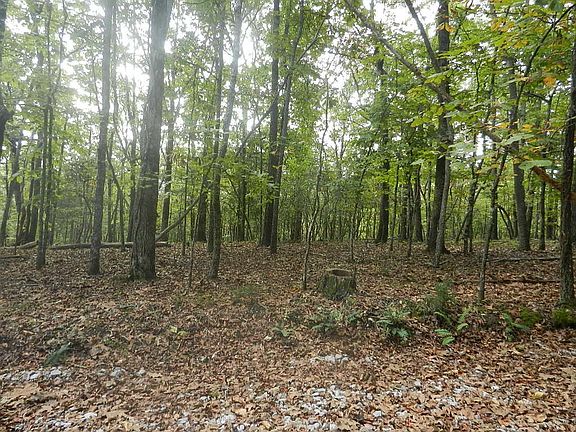 3rd image of 0 Timberline Dr Lot E