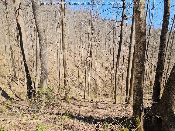 5th image of X Bufflick Rd