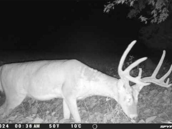 0 S 1850 W, Griffin, IN 47616