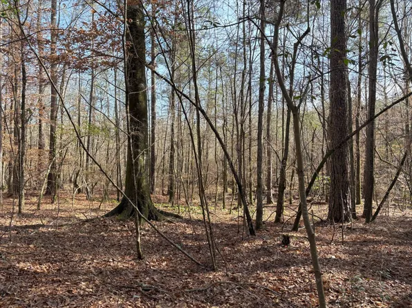 Girlinghouse Rd, Jena, LA 71342