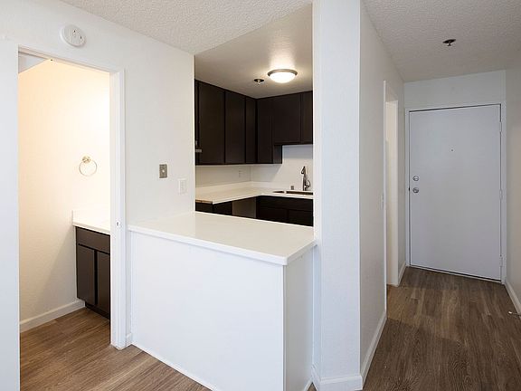 5th image of 4022 Albatross St APT 204
