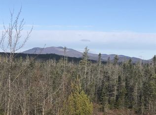 81 Duncan Lake Road, Ossipee, NH 03864