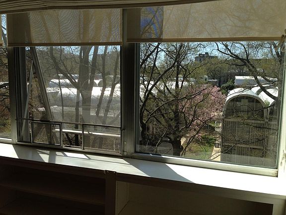 View from living room window