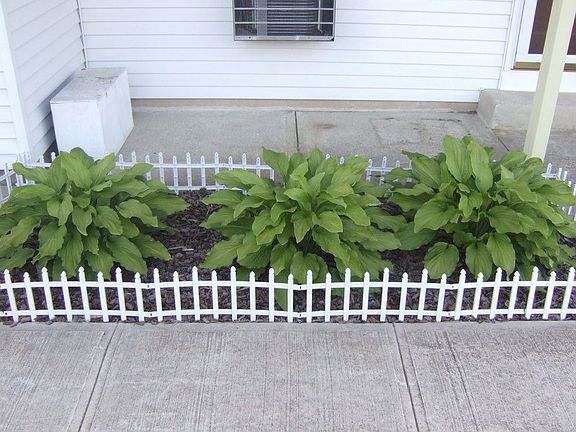 2nd image of 51 Falmouth Ave #72